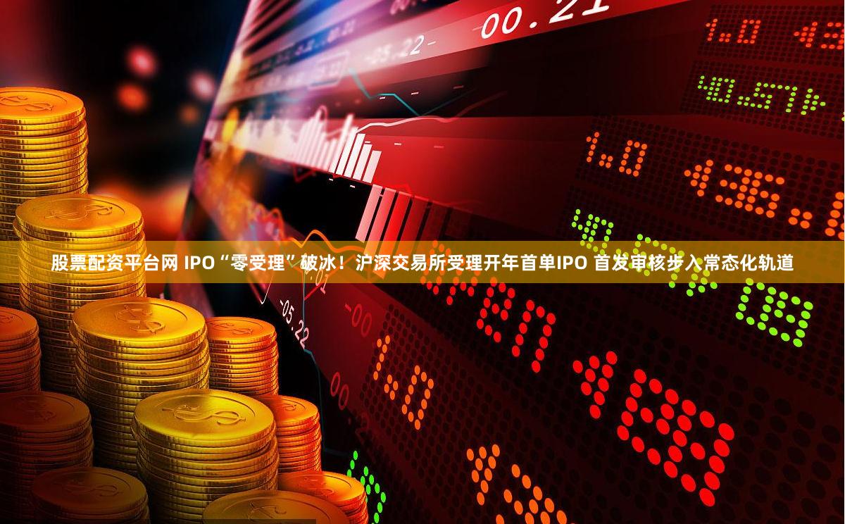 股票配资平台网 IPO“零受理”破冰！沪深交易所受理开年首单IPO 首发审核步入常态化轨道