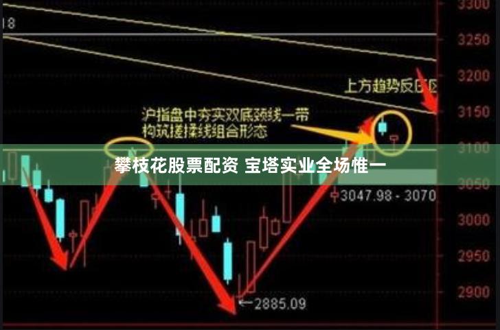 攀枝花股票配资 宝塔实业全场惟一