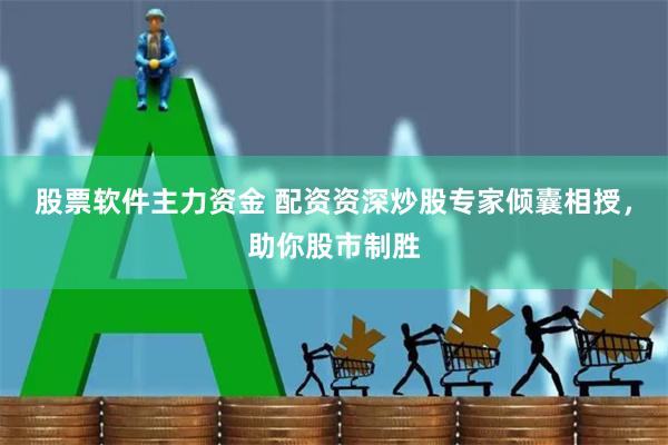 股票软件主力资金 配资资深炒股专家倾囊相授，助你股市制胜