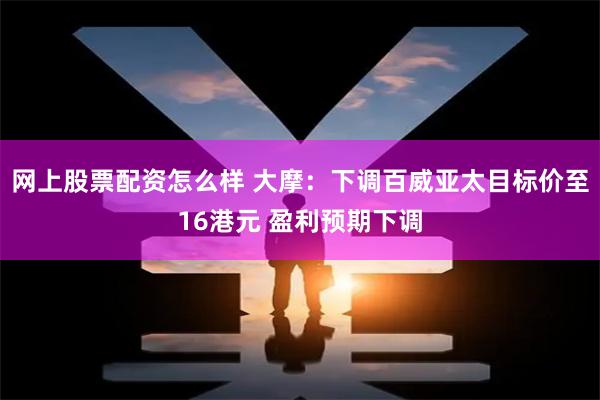 网上股票配资怎么样 大摩：下调百威亚太目标价至16港元 盈利预期下调