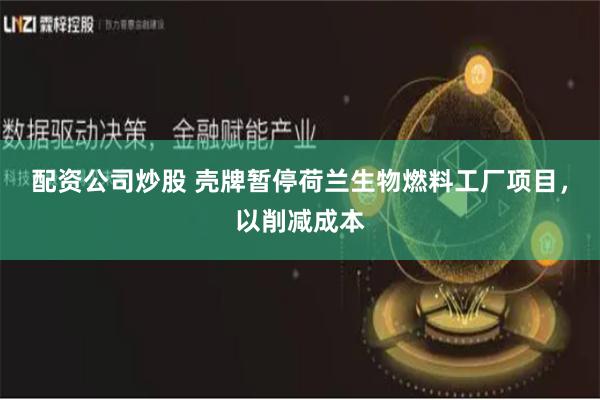 配资公司炒股 壳牌暂停荷兰生物燃料工厂项目，以削减成本
