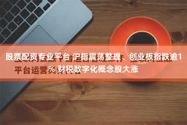 股票配资专业平台 沪指震荡整理、创业板指跌逾1% 财税数字化概念股大涨