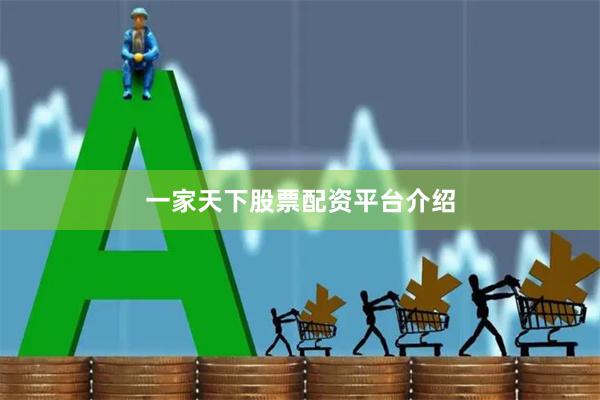 一家天下股票配资平台介绍